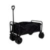 Carro de Arrastre Negro Bebesit