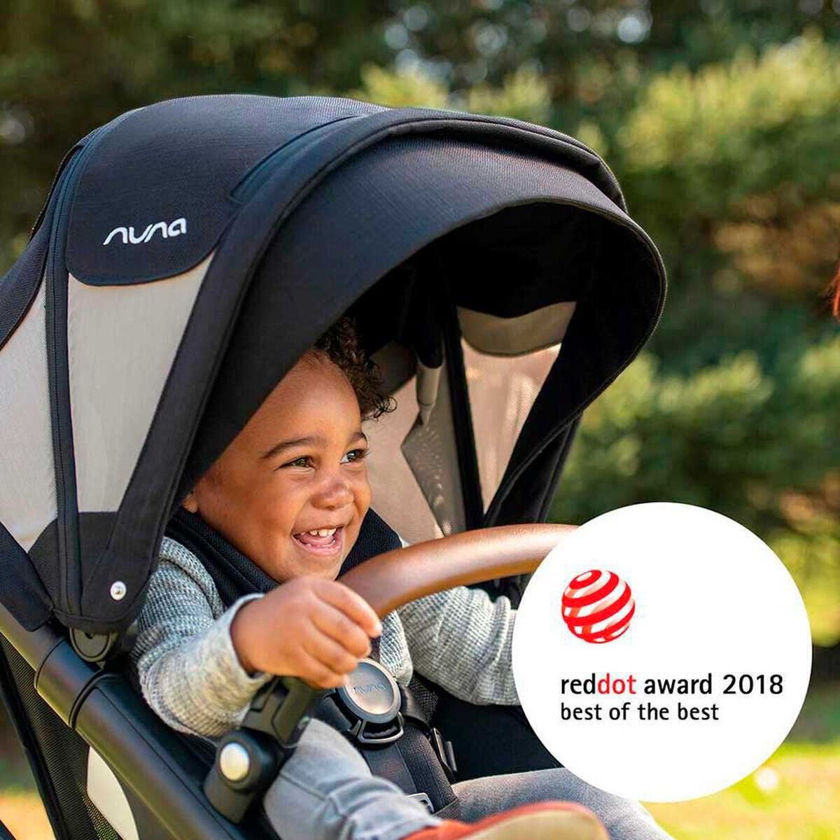 Coche Paseo Nuna