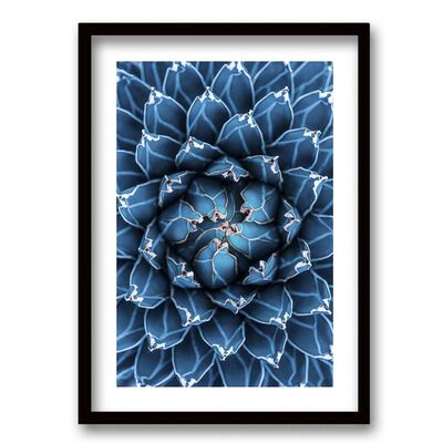 Imagen 1 del producto Cuadro Decorativo Retela Agave Cactus 50 x 35 cm