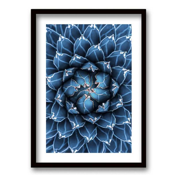 Cuadro Decorativo Retela Agave Cactus 50 x 35 cm