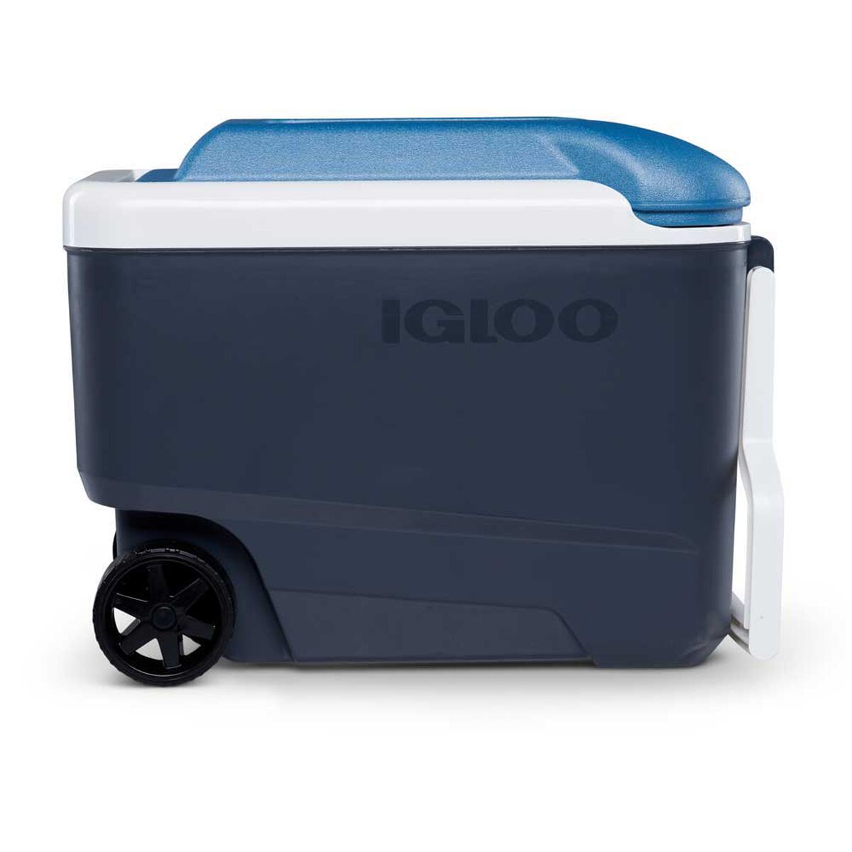 Cooler Roller Maxcold Gris Igloo 38 Litros