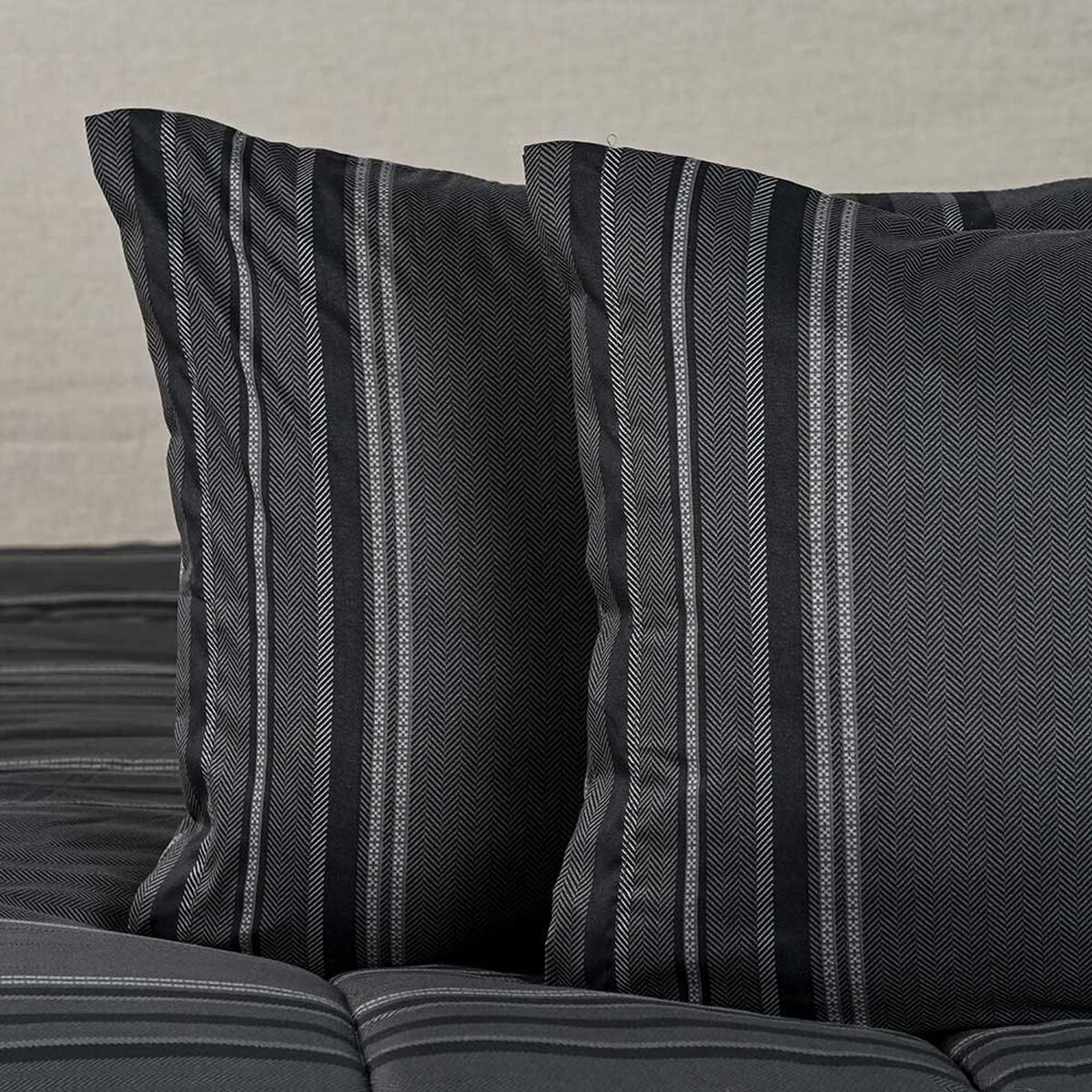 Plum&oacute;n American Family King Trami