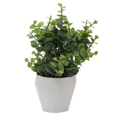 Planta Artificial Cemento Vgo  25 cm Blanco