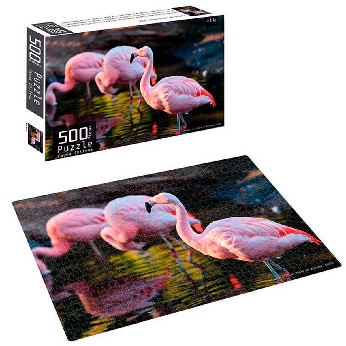 Puzzle 500 Piezas Fauna Chilena Nobel Gift