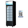Visicooler Ventus LG-260 260 lts.