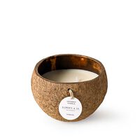 Vela Aromática Elements & Co Candle Coconu Verbena