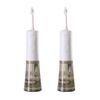 2 Miracle Smile Irrigador dental + 6 cabezales