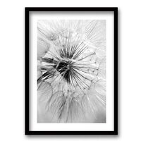 Cuadro Decorativo Retela Flor de León 70 x 50 cm