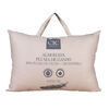 Almohada CIC 100% Pluma de Ganso + Microfibra  50 x 70 cm