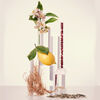 Perfume CH L'Eau EDT 50 ml