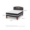 Cama Europea CIC 2 Plazas Ortopedic + Respaldo Gales