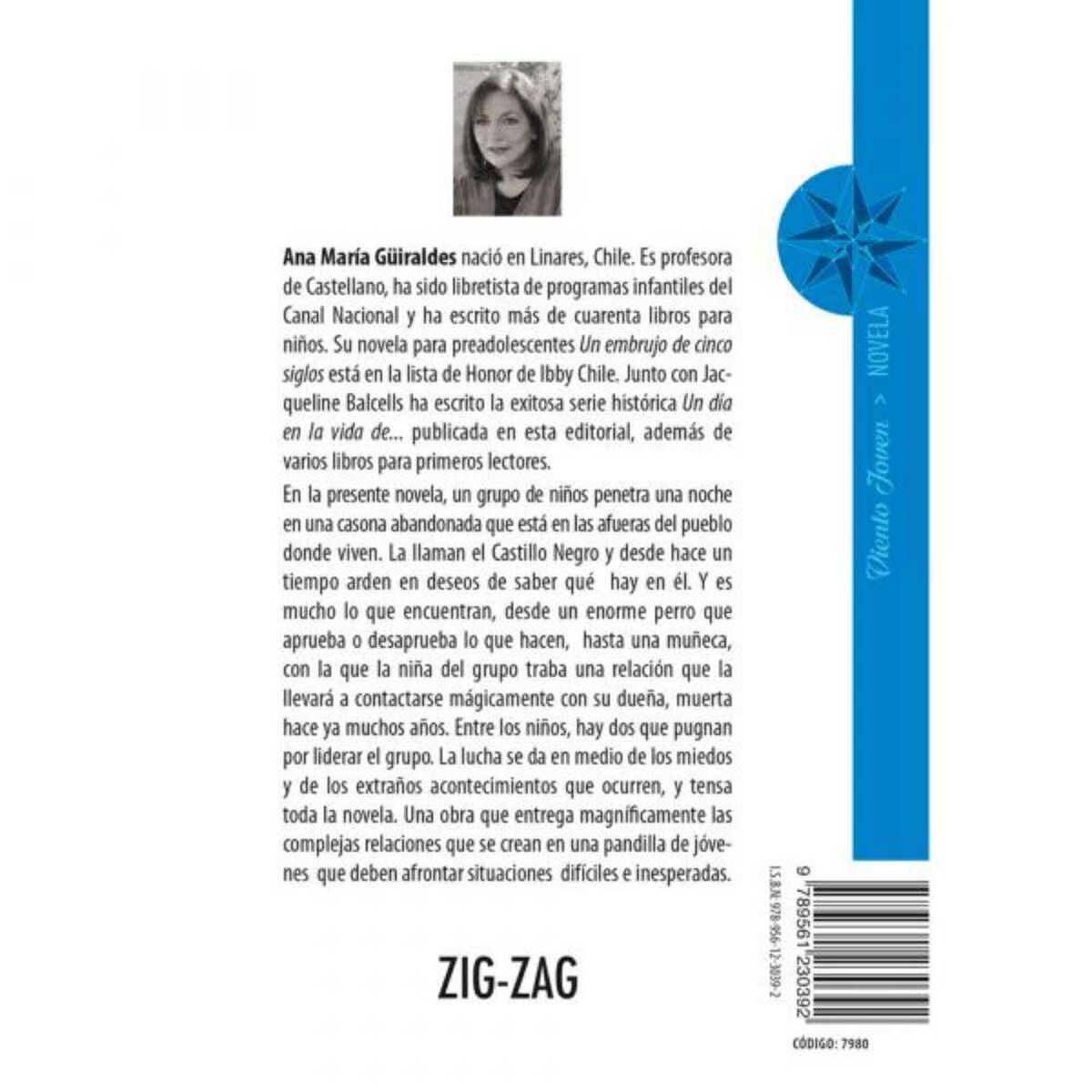 Libro El Castillo Negro en el Desierto Ana María Güiraldes Zig-Zag