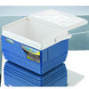 Cooler Pinnacle 11 Litros