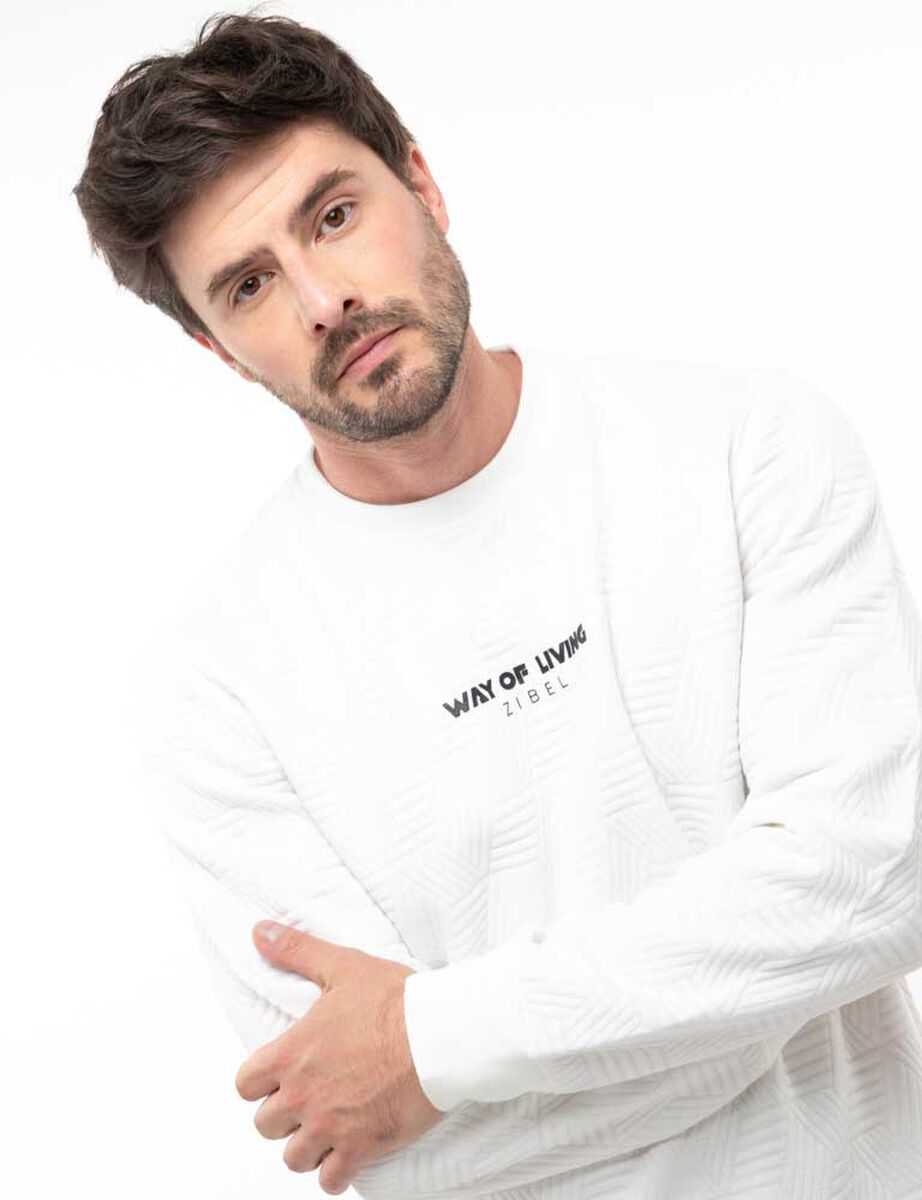 Polerón Con Estampado Hombre Zibel