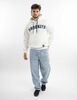 Poler&oacute;n Hoodie Hombre Icono