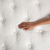 Cama europea CIC Queen Premium