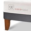 Cama Europea CIC Base Dividida King Cocopedic + Respaldo Milan Mostaza