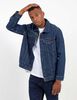 Chaqueta Hombre Levis