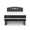Cama Europea CIC 2 Plazas Ortopedic + Respaldo Gales