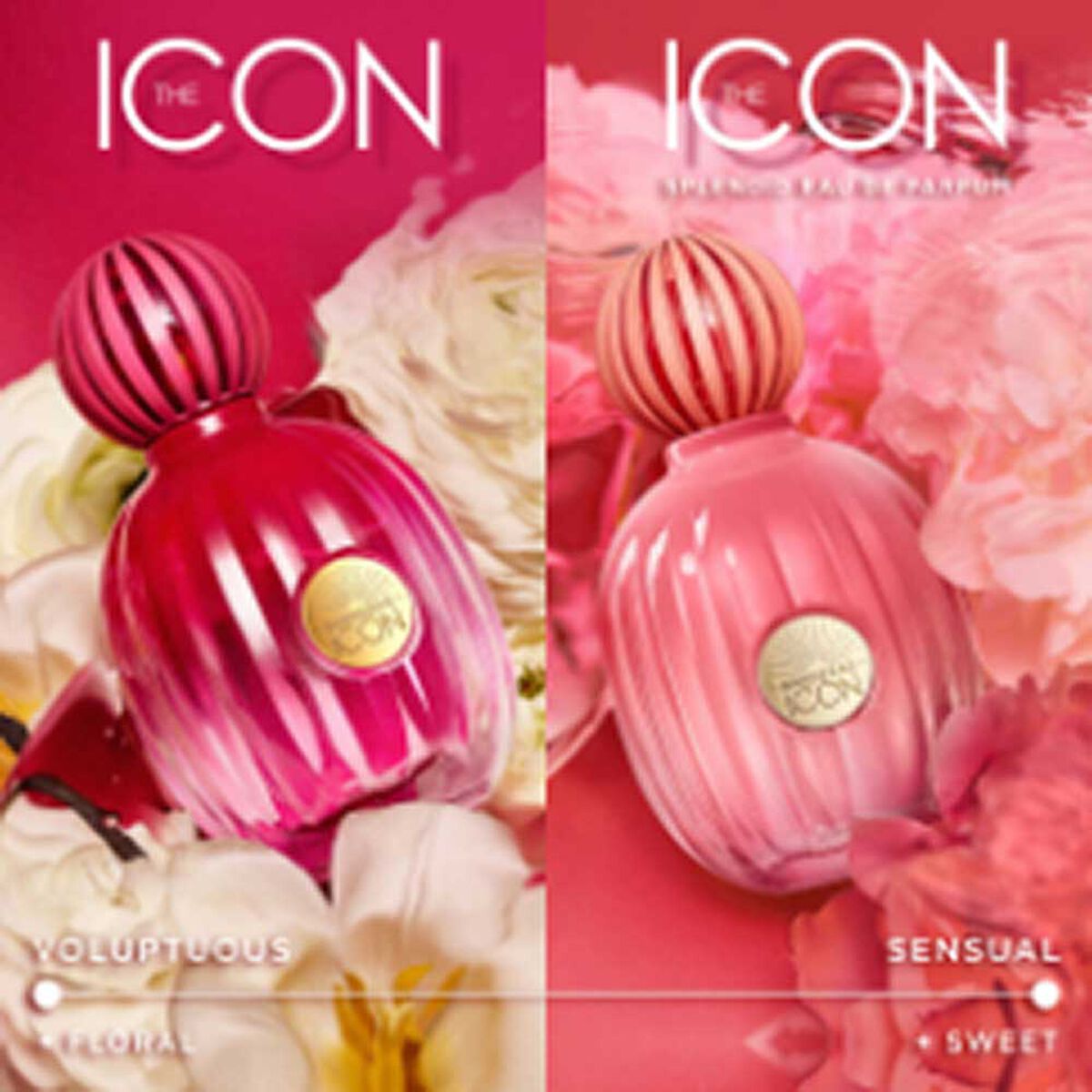 Perfume Mujer Antonio Banderas The Icon Splendid EDP 50ml