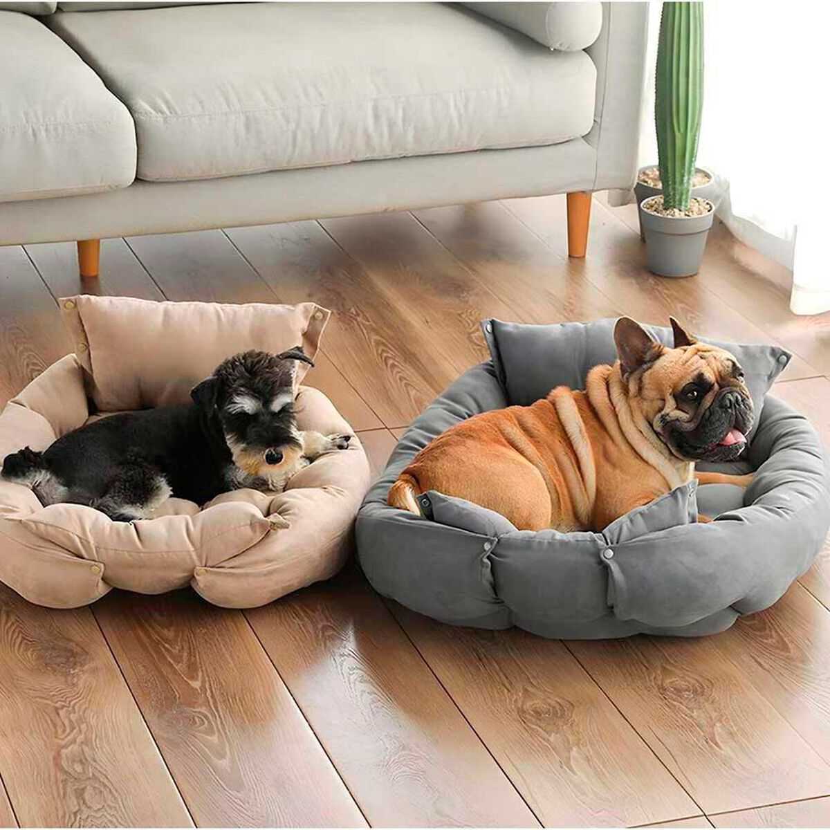 Cama Para Mascota PetWoow