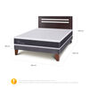Cama Europea CIC 2 Plazas New Ortopedic + Respaldo
