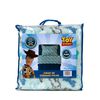 Juego de Sábanas Polar Infantil Disney 1,5 Plazas Rex
