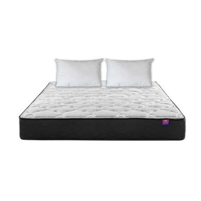 Imagen 2 del producto Colchón Flex 2 Plazas Therapedic Plus + 2 Almohadas