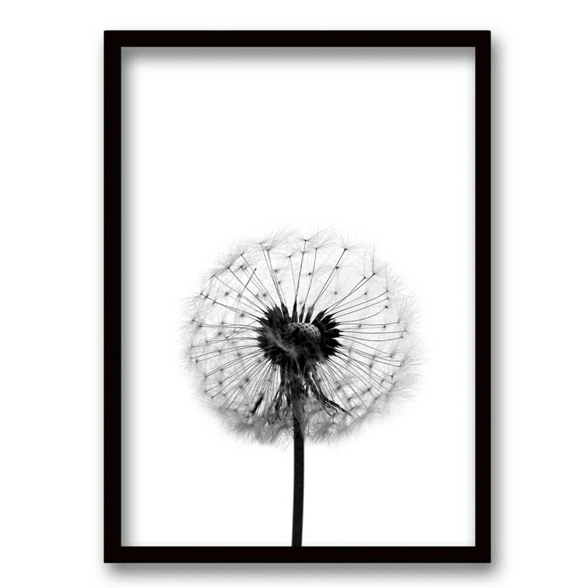 Cuadro Decorativo Retela Flor de Leon B 50 x 35 cm
