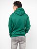 Poleron Hoodie Hombre Icono