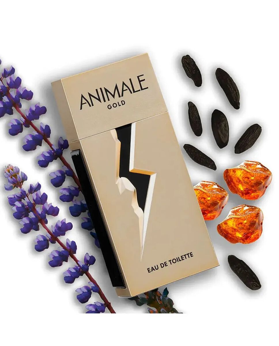 Perfume Animale Gold For Men 100 Ml EDP