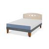 Cama Europea CIC 2 Plazas Excellence + Respaldo Gales Alpino