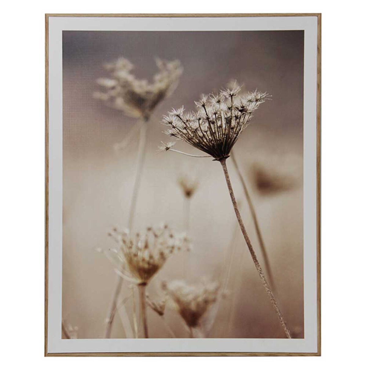 Set 2 Cuadros para Fotos Plástico Vgo 50 x 40 cm Natural