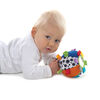Mi Primera Pelota Chime Playgro
