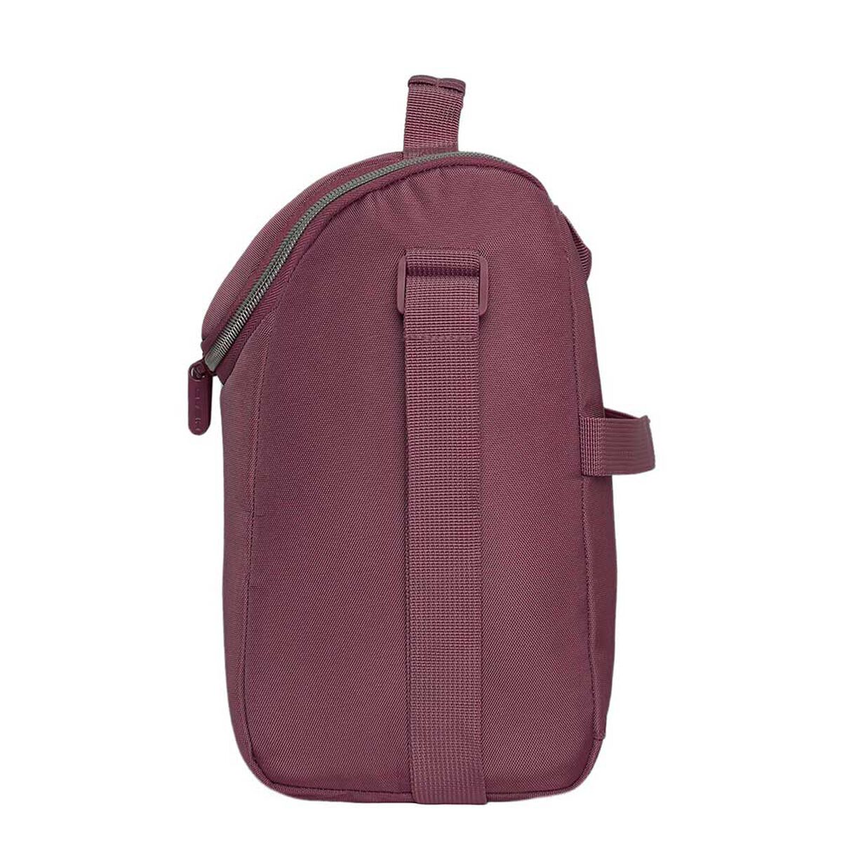 Lonchera Greenland  Head