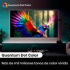 Mini LED 55" Hisense 55U6N Smart TV 4K UHD