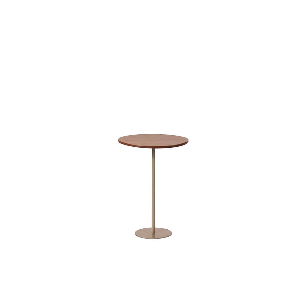 Set Mesas Decocasa Botanic Champagne