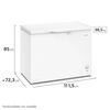 Freezer Horizontal Fensa Z300D 290 lts