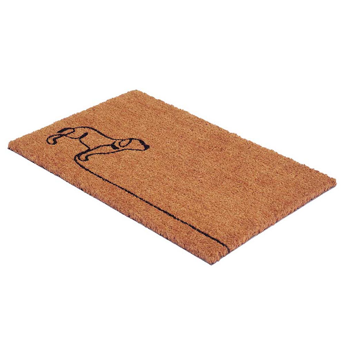 Limpiapiés Idetex Coco Pas 40 x 60 cm Café
