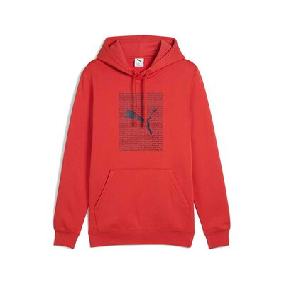 Polerón Urbano Hombre Puma