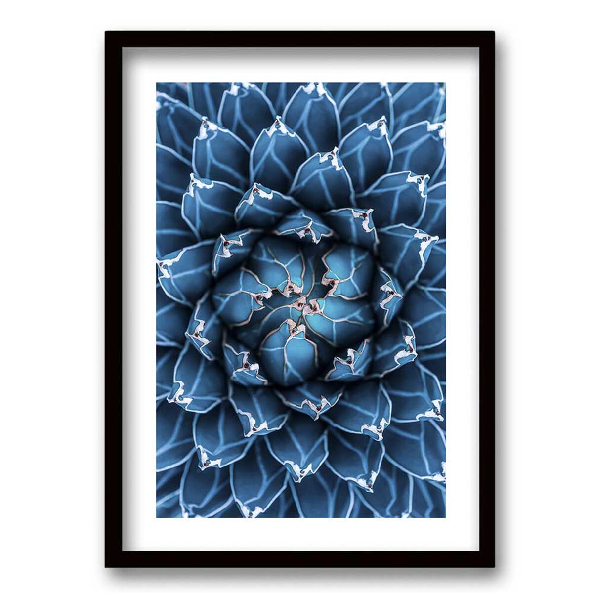 Cuadro Decorativo Retela Agave Cactus 40 x 30 cm