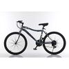 Bicicleta Aro 24 Gris Xts