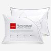 Almohada Rosen Pluma Natural 50 x 70 cm