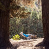 Silla de Camping Doite Zero-G (Plegable, Multi-Posición)