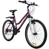Bicicleta Alpinextrem Lady Aro 24
