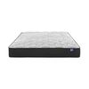 Colchón Flex 2 Plazas Therapedic Plus