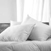 Pack Almohadas Illusions Microfibra Premium 50 x 70 cm