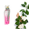 Perfume Adolfo Dominguez Agua Fresca Gardenia Musk EDT 120 ml