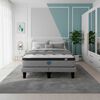 Cama Europea Simmons 2 Plazas Dreamer Plus 200 cm