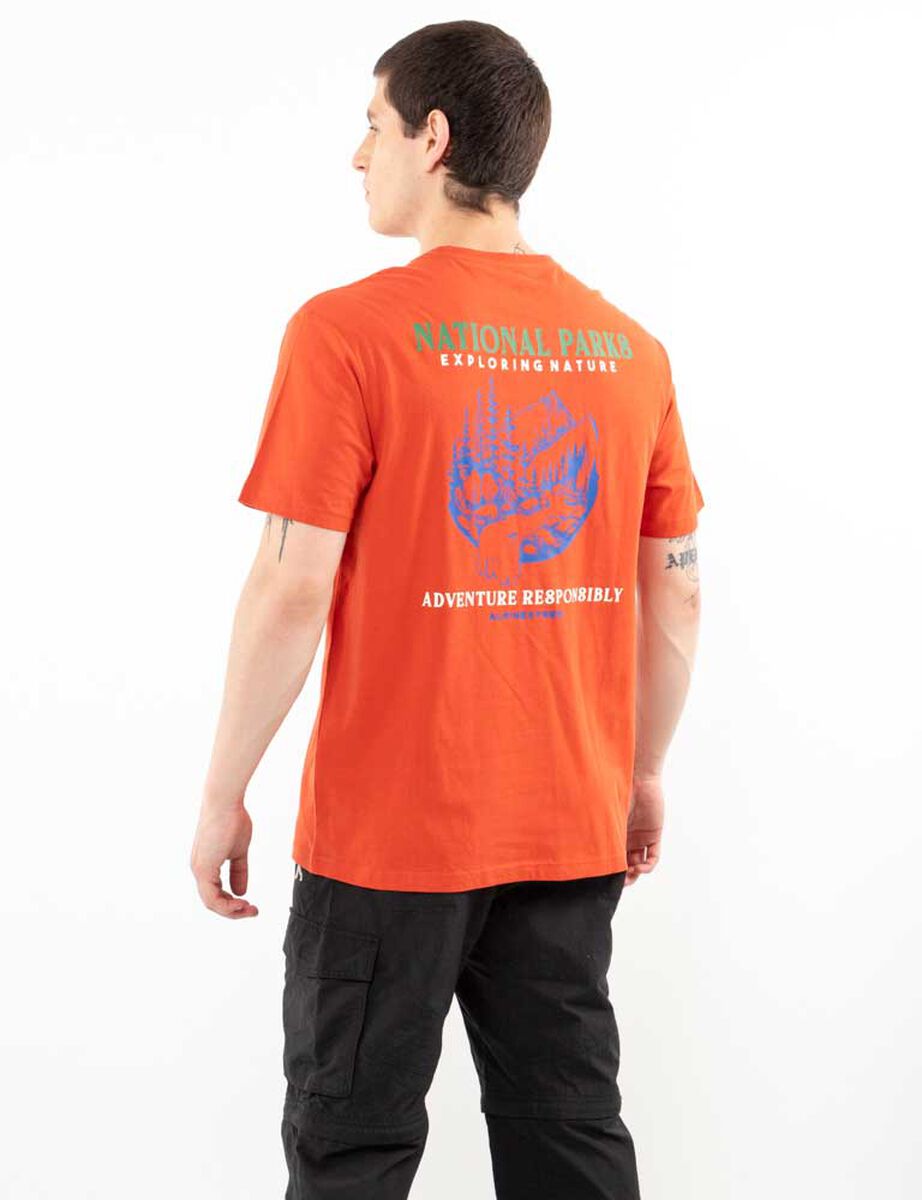 Polera Deportiva Hombre Alpinextrem